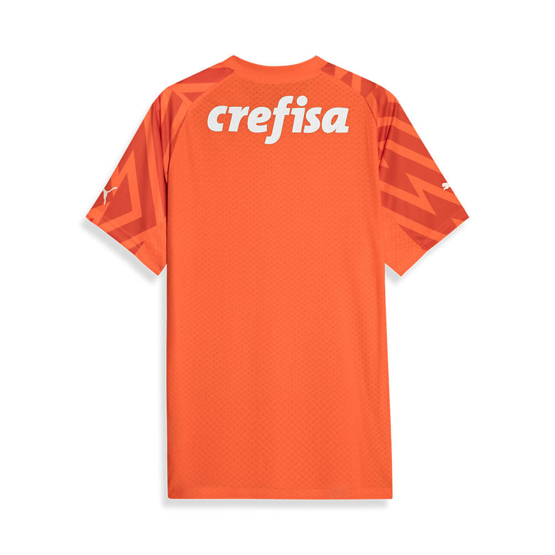 Camisa III Goleiro Palmeiras 2024/25 Jogador